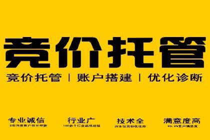 提升SEM效果：优化技巧与案例分享